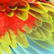 Illustration for article titled Neon Bird Feathers Hold the Key to Colors That Never Fade
